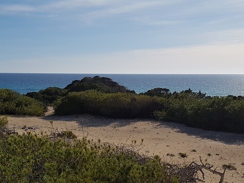 A sandy path winds through lush greenery leading to a tranquil beach scene. In the distance, the calm sea glimmers under the sunlight, with gentle waves lapping at the shore. The clear sky stretches above, contributing to the serene coastal landscape.