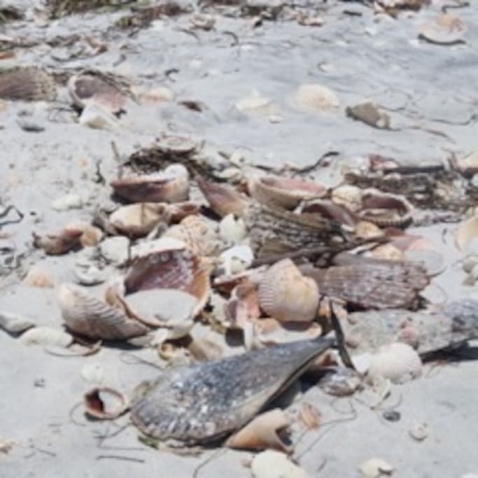 Sanibel Island