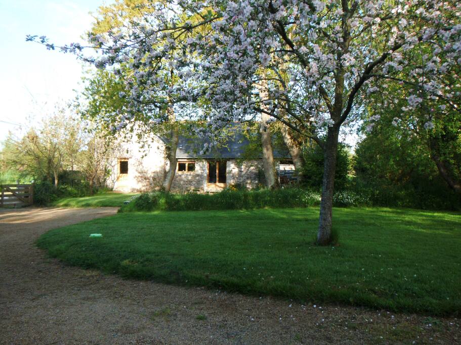 profitez du jardin clos.
