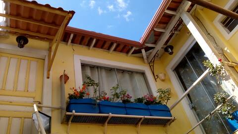 Gatto family loft - Close to UFMG!