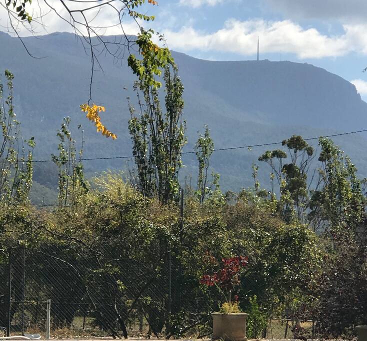 Mt Wellington from the garden