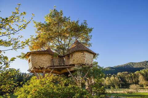 Big tree house in the Vosges