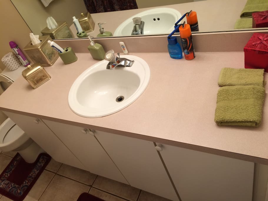 Private on suite full bath
