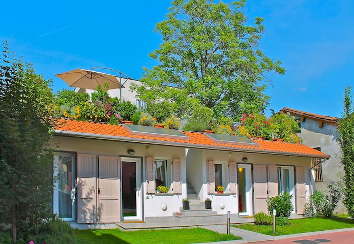 BigBright&Beautiful free wi-fi&park