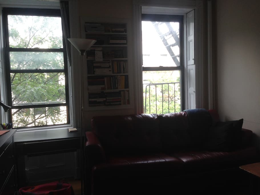 Living room with the sofa
