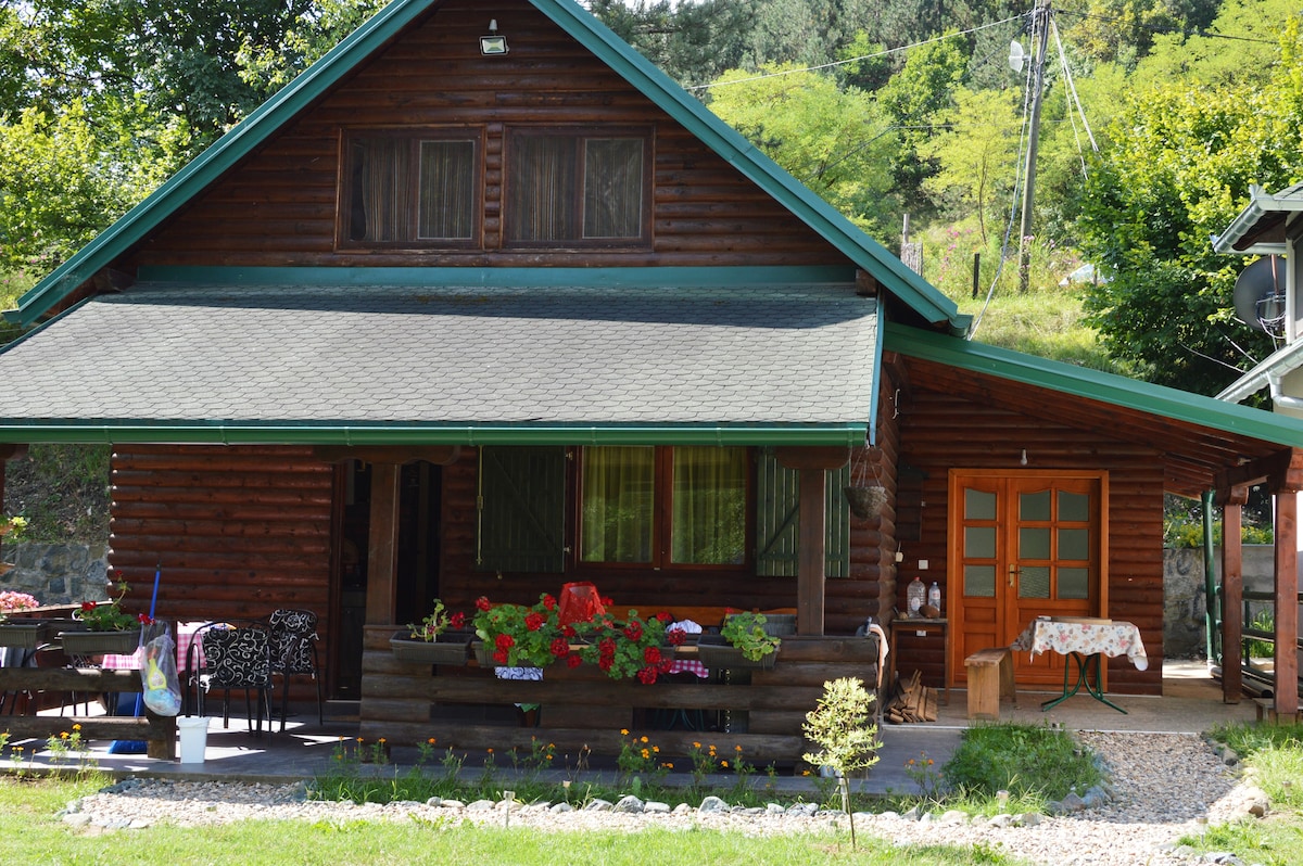 A wooden cabin is situated among greenery, featuring a sloping roof and a covered porch adorned with colorful flower pots. A rustic table with a checkered tablecloth is placed beside the entrance, inviting outdoor relaxation. Natural light highlights the warm tones of the wood.