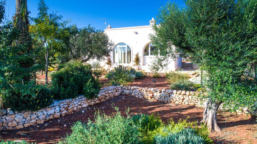 Villa Cristina gallery image 3