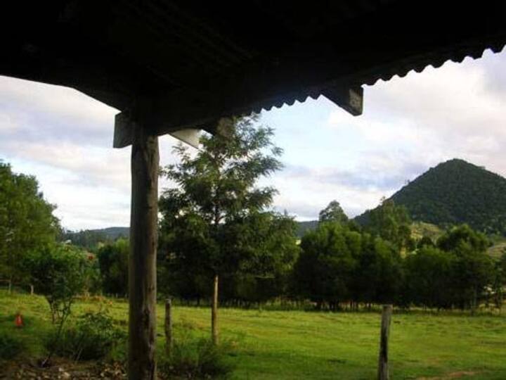 Top 10 Pet & DogFriendly Near Gympie, Australia