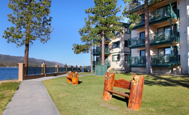 A well-kept outdoor area near the lake features grassy space with two rustic wooden benches carved into animal shapes. The three-story building stands in the background, with green balconies overlooking the water and tall pine trees dotting the landscape.
