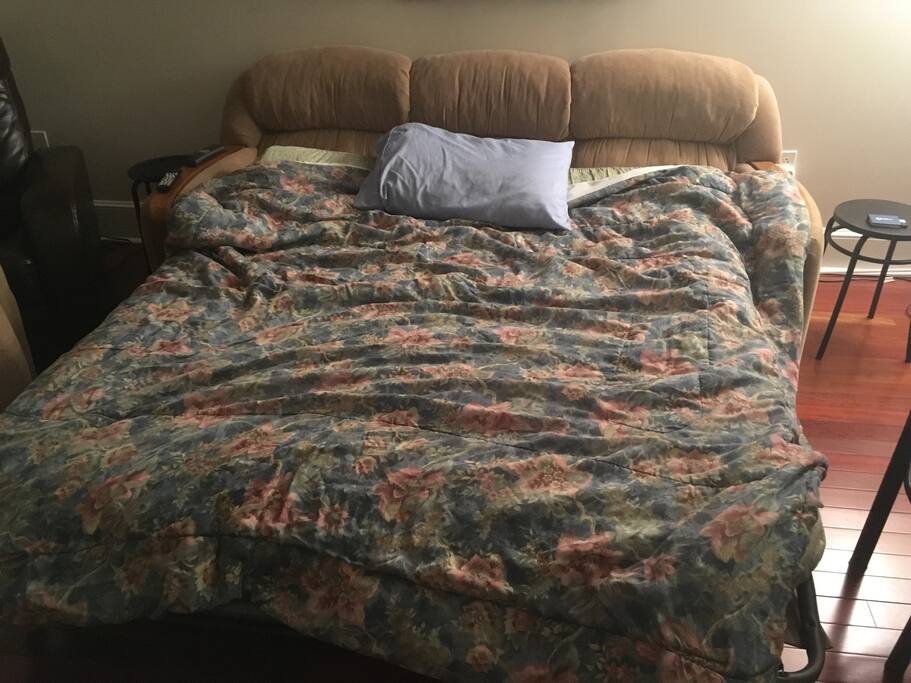 Sleeper sofa pulled out