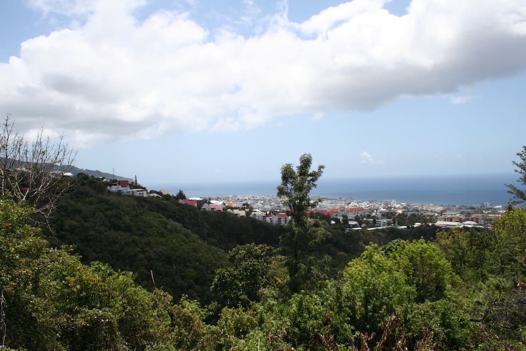 Vue Mer et Montagne