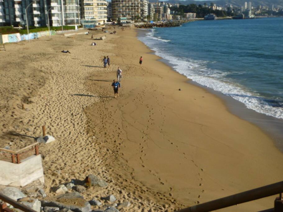 Playa Acapulco (lado Sur Muelle Vergara).