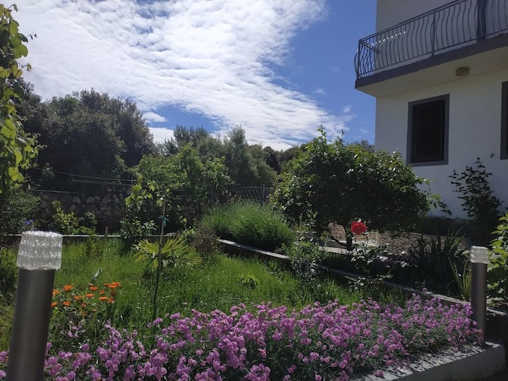 Apartman Lavanda Nova - Sevid