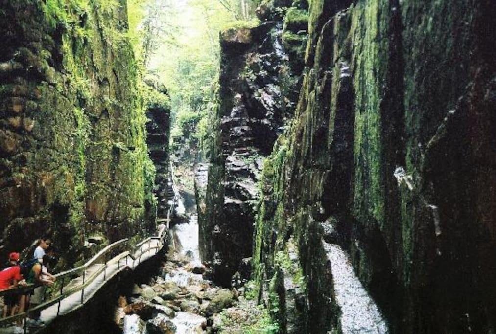 Don't forget to visit the flume gorge just minutes away from our townhouse