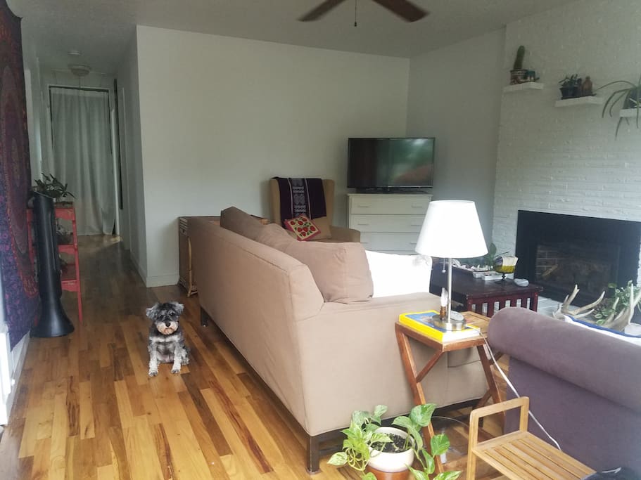 Check in with Z the doorpup