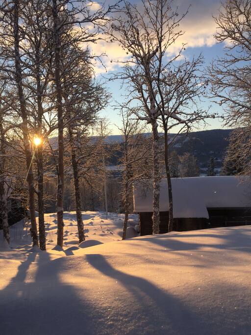 View from the kitchen windows