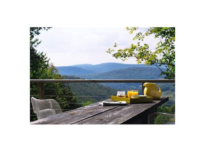 Above it All Houses for Rent in Andes, New York, United States Airbnb