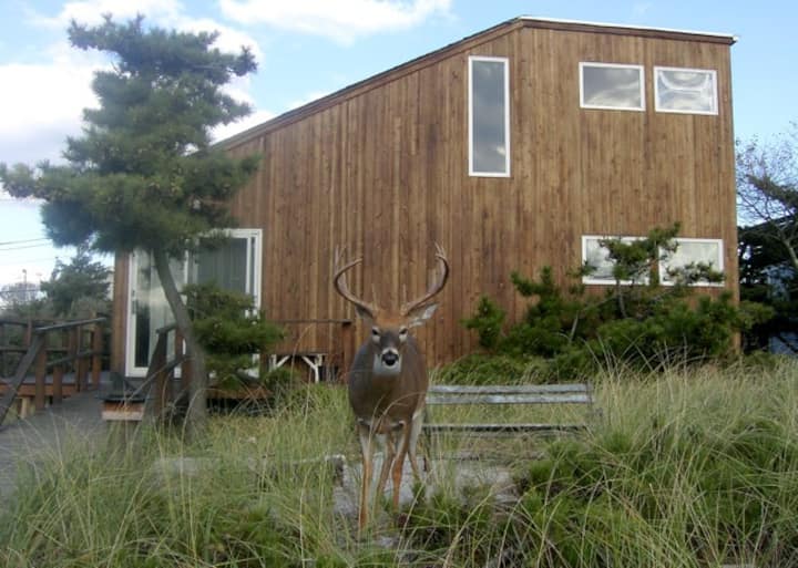 Fire Island Beach House- Ocean Bay Park