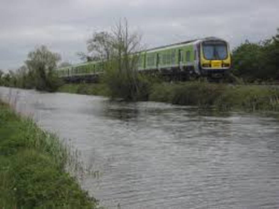 local train service