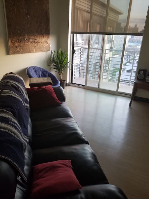 Black leather couch for lounging and sleeping.