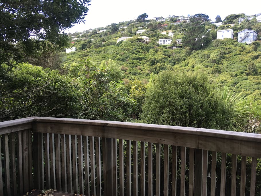 View from main bedroom