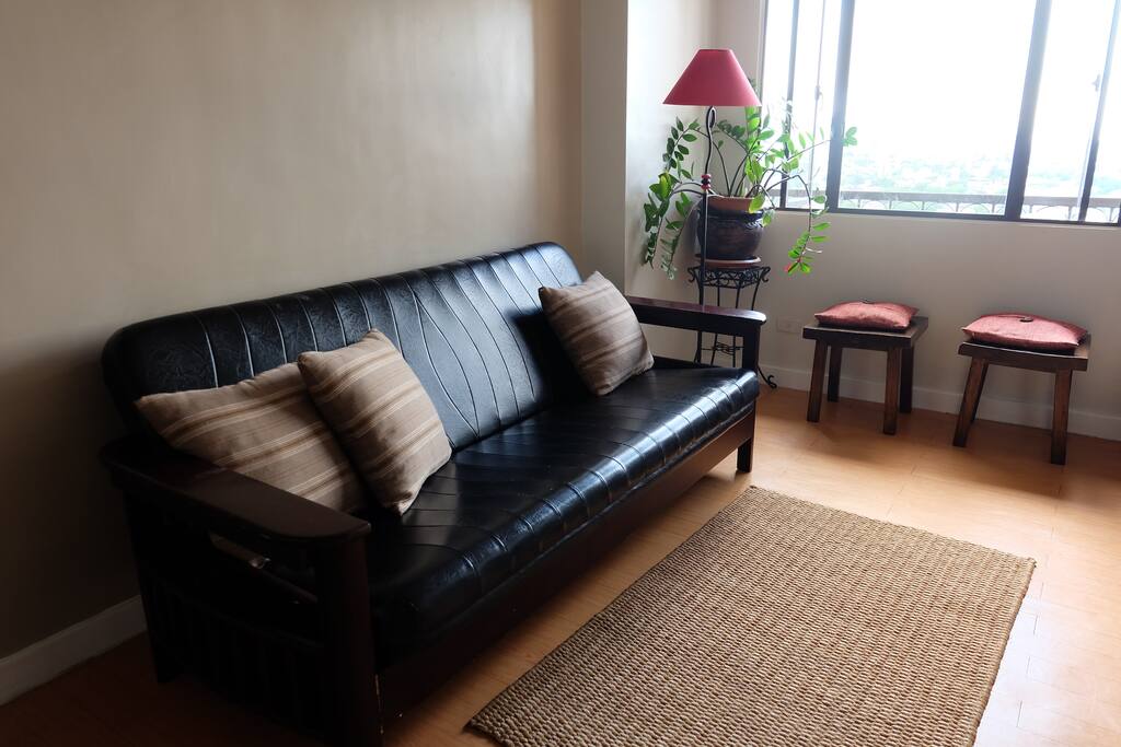 Living area has a couch that can be converted to a bed