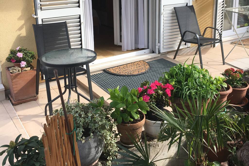 Garden in front of the room