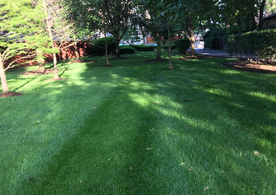 Situated at the rear of our own lovely private park.
