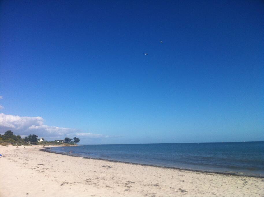 Plage à 150 m du coté gauche