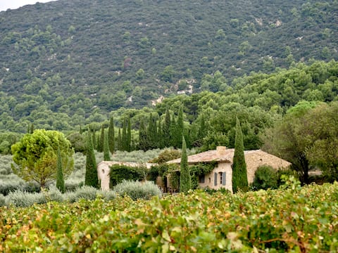 Charming country cottage near Lourmarin