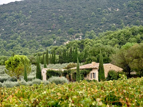 Charming country cottage near Lourmarin