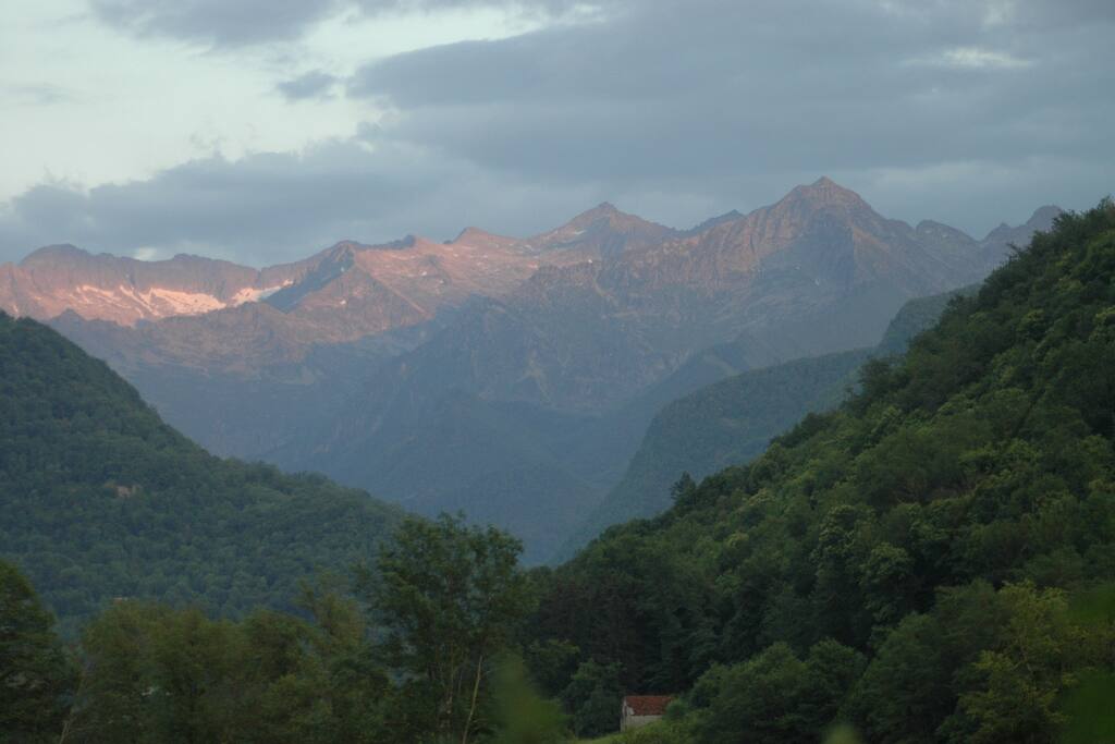 Paysage devant la maison