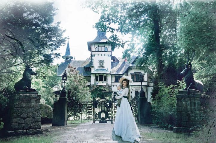 Schloss Heinrichshorst