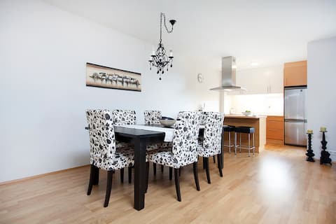 Modern Icelandic Apartment