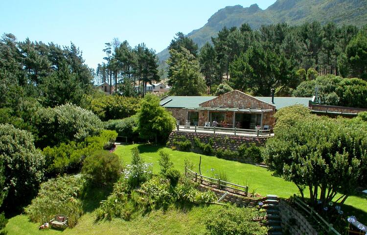 Angelica gallery image 2