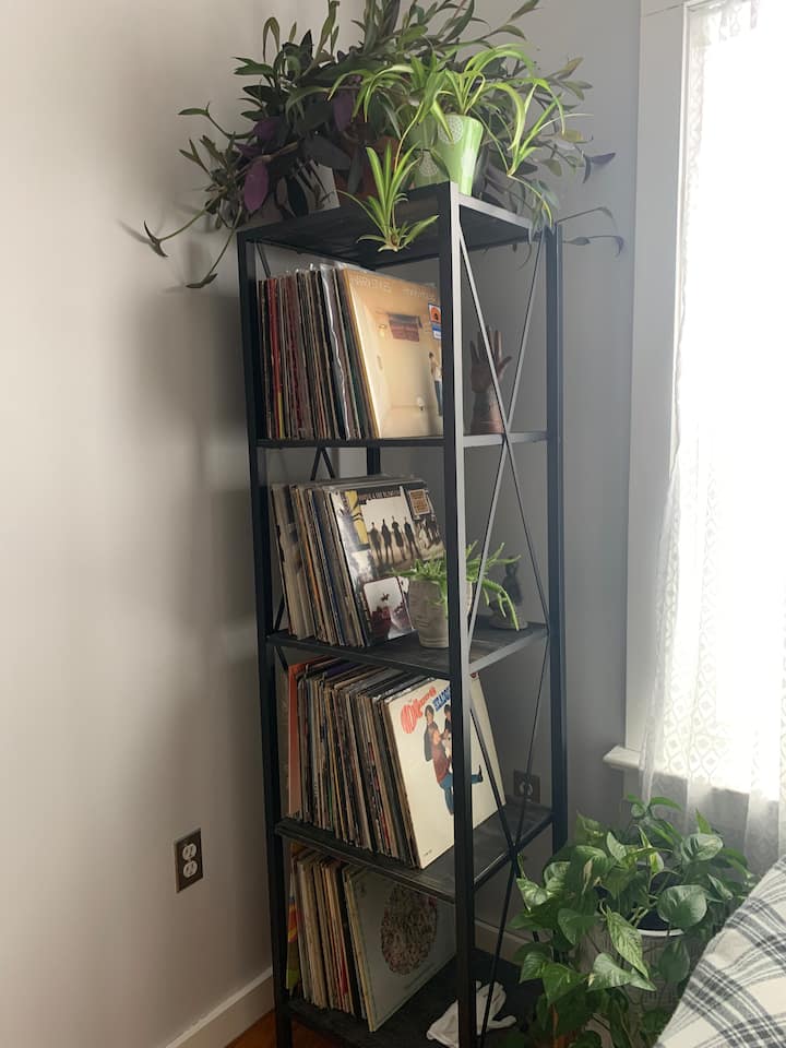 Downtown Apartment A - Pittsfield, MA