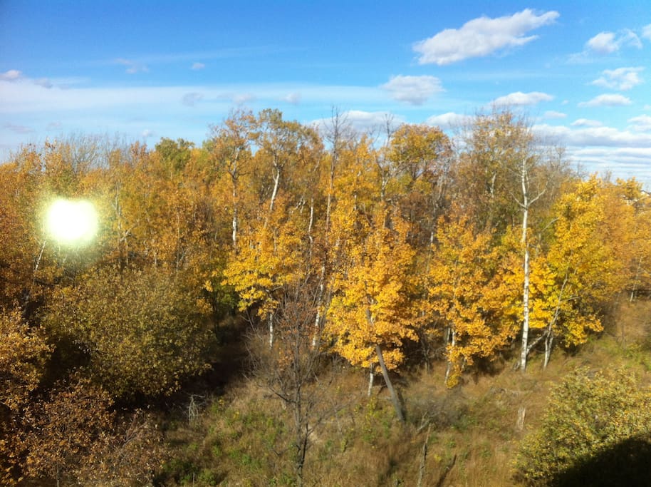 The view from my deck