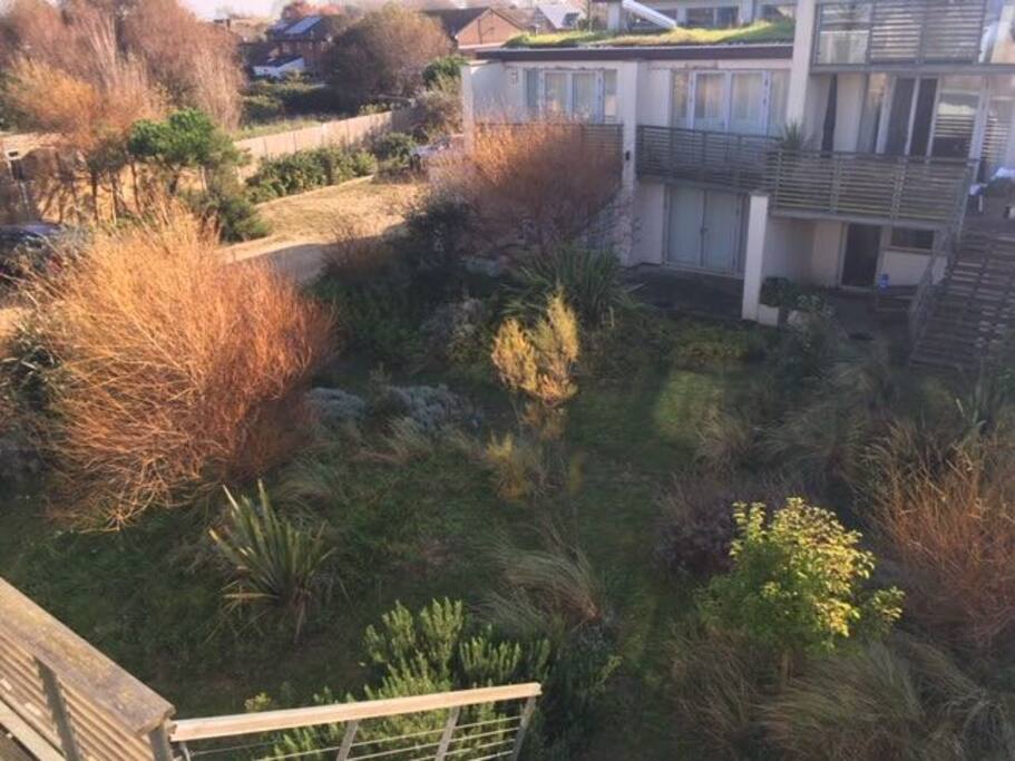 Communal Garden