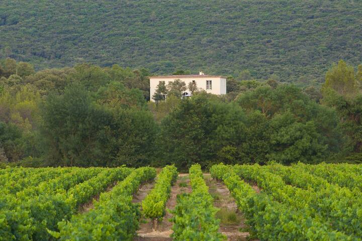 La Bastide De La Bouissière - Claret