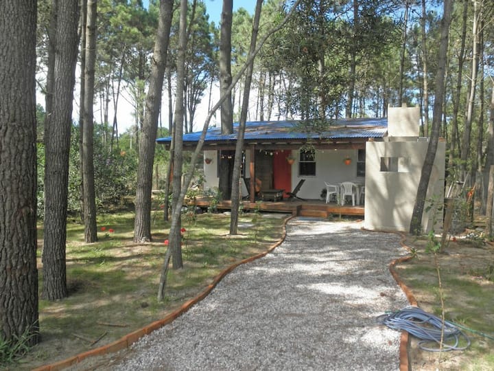 La Casita de la Calle 17 surrounded by nature