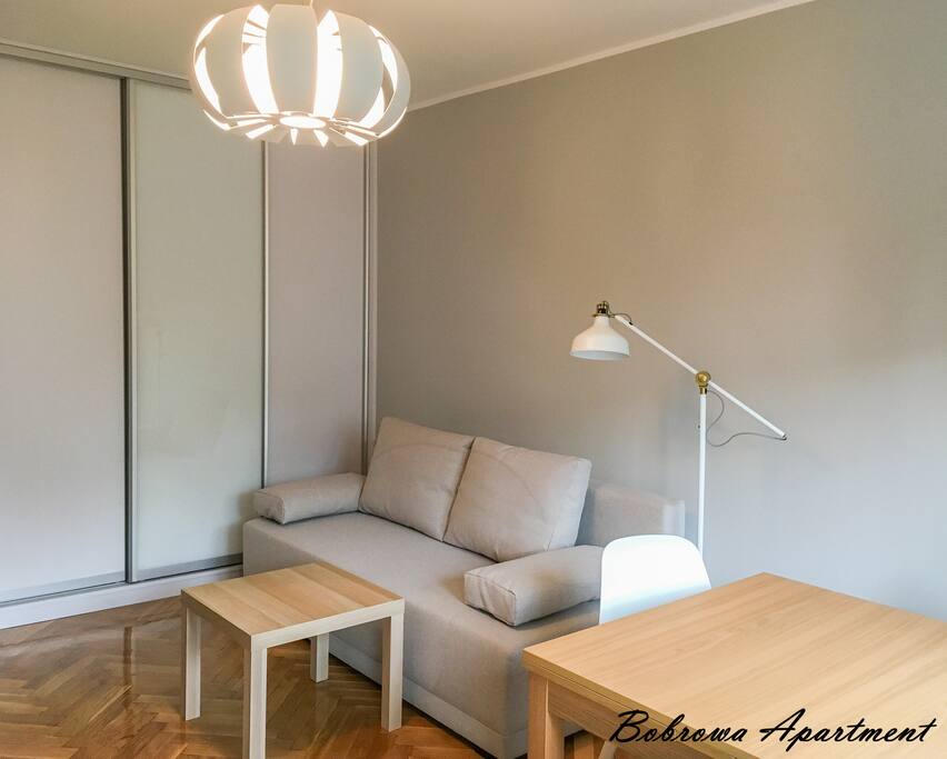 Salon z sofą