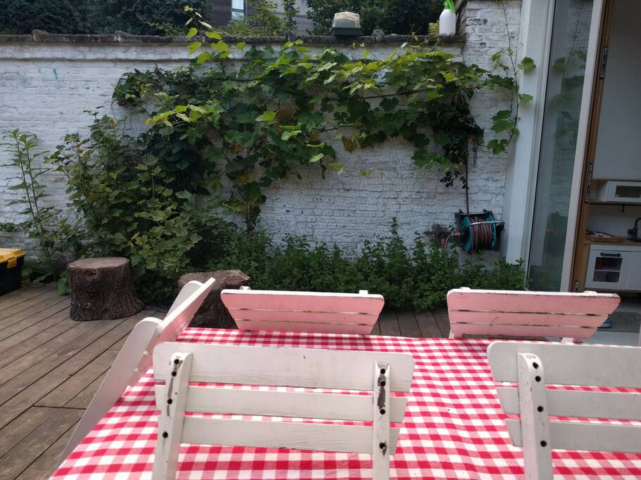 Sunny garden with BBQ