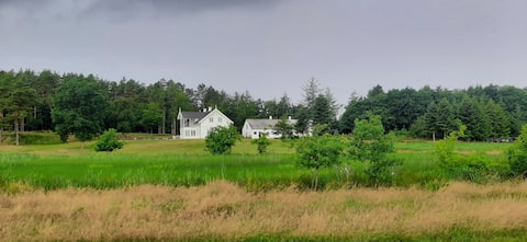 Guest house in the woods