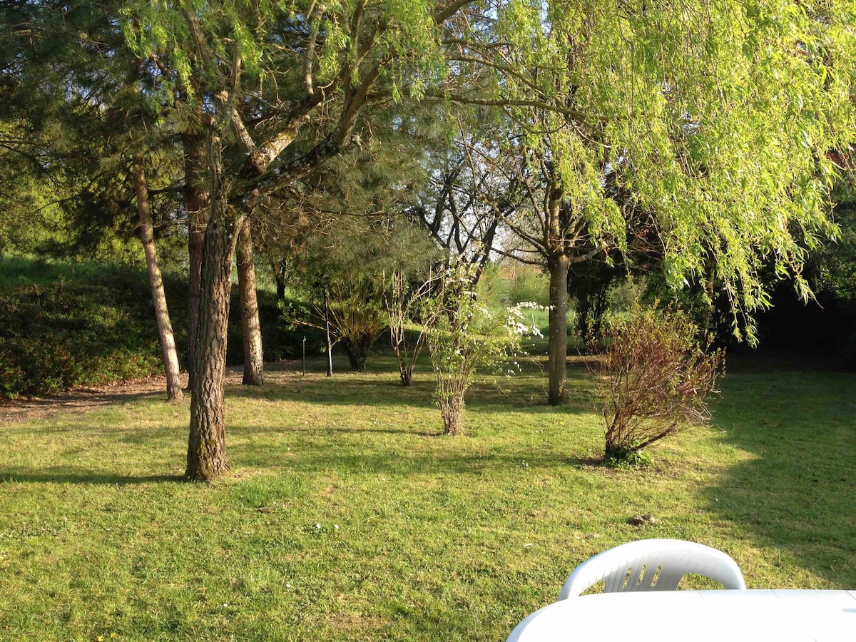A spacious garden is depicted, featuring lush green grass bordered by various trees and shrubs. Sunlight filters through the foliage, creating a serene environment. A white garden chair is visible in the foreground, inviting relaxation in the tranquil outdoor space.
