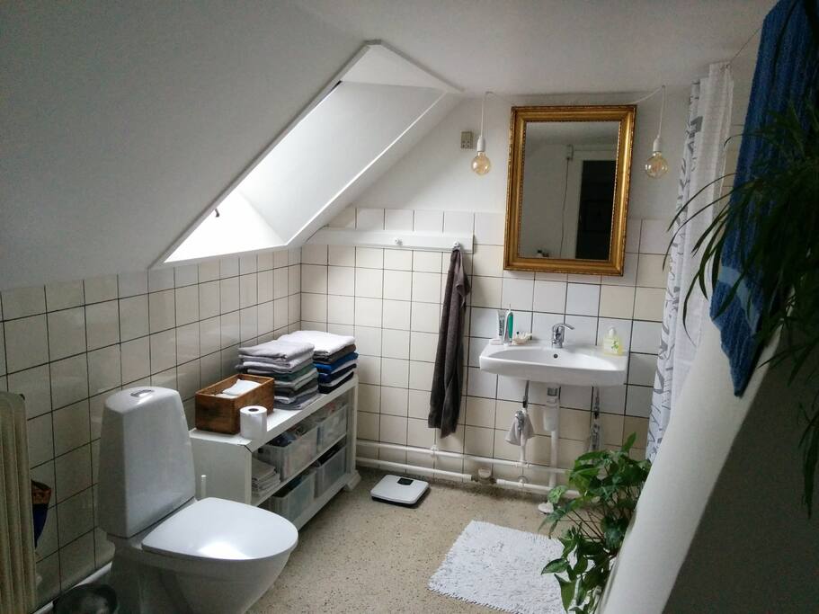 The bathroom