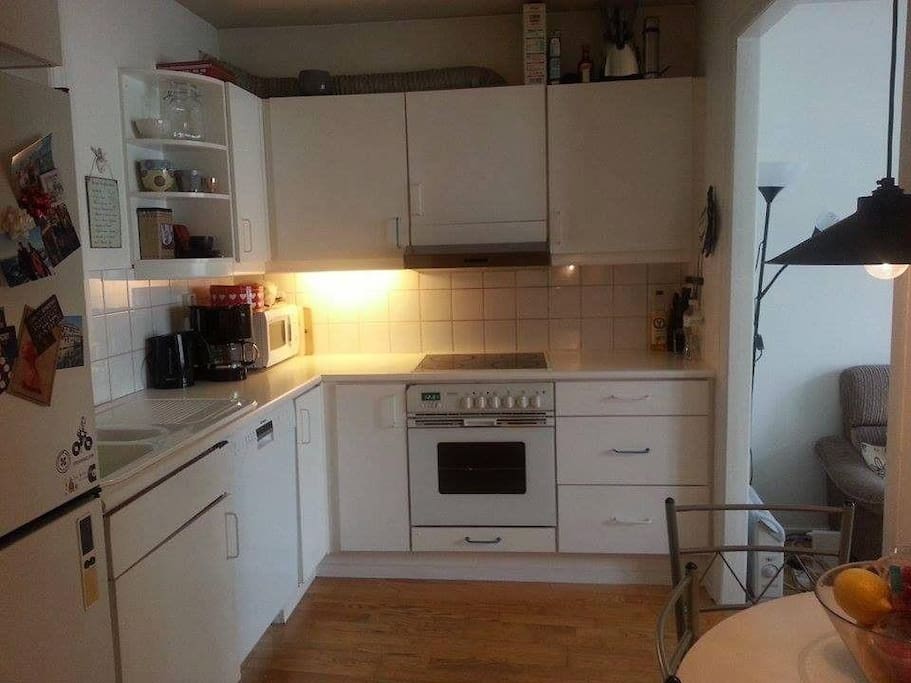Bergen Airbnb's in Scandinavia kitchen