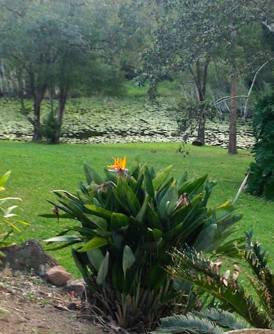 Bushlife bliss near the beach