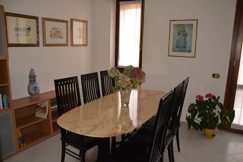 THE CURIOUS TRAVELER