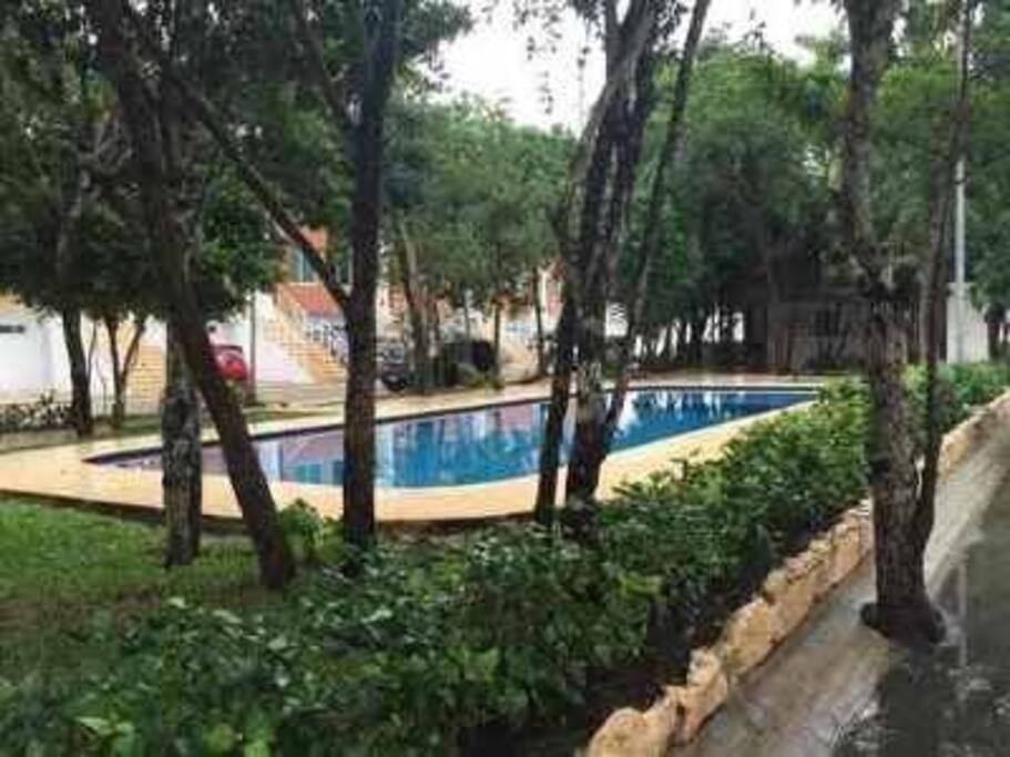 Alberca área común