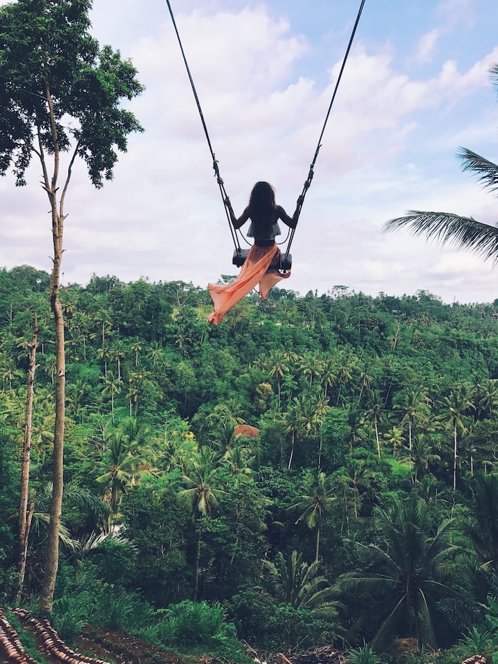 Recorrido Por Lo Mejor De Ubud Con Columpio En La Selva Airbnb